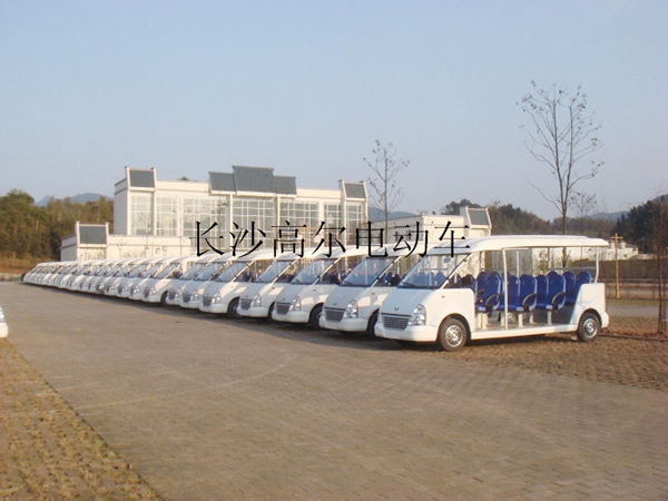 燃油觀光車